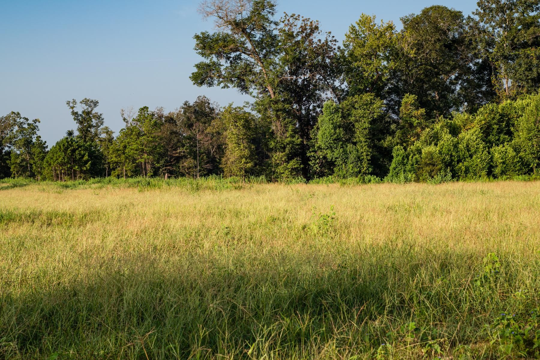 Clay Street, Attapulgus, GA 39815