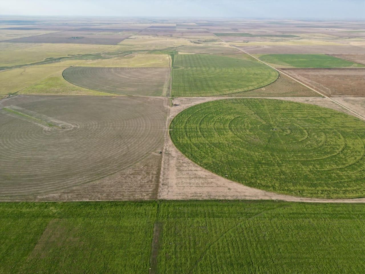 1,120 acres in Prowers County, Colorado