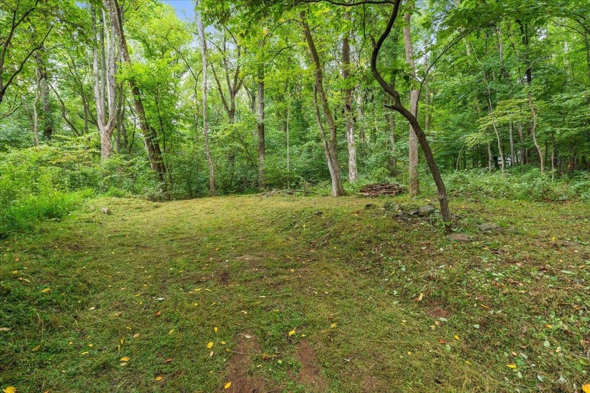 233 STONE CHIMNEYS RD, Nellysford, VA 22958 MLS 645225