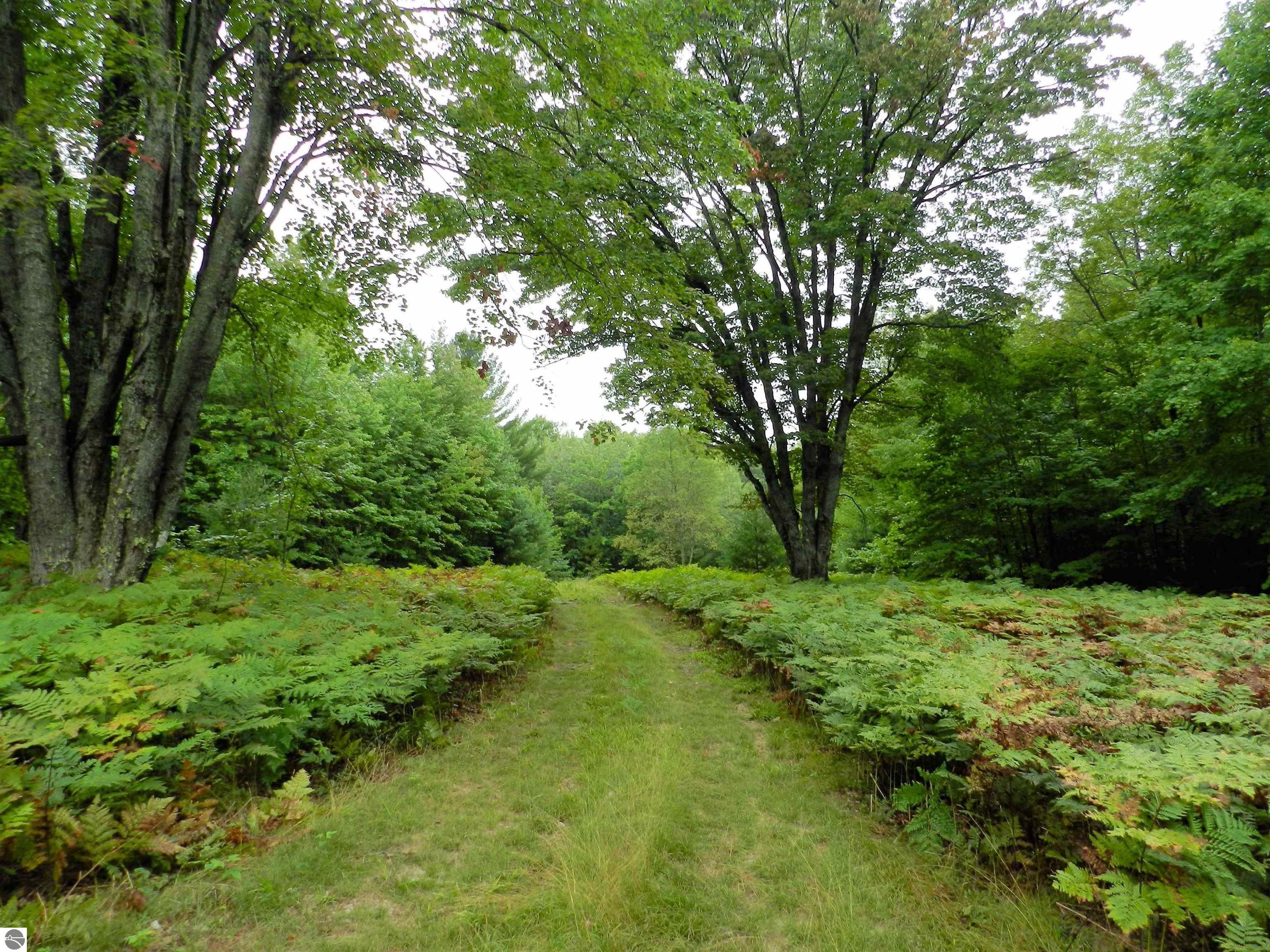 5 acres in Kalkaska County, Michigan