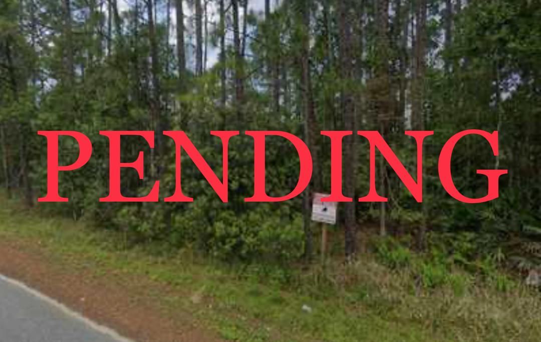 250 Lakeway Dr, FL 32139 MLS Edwards Lot