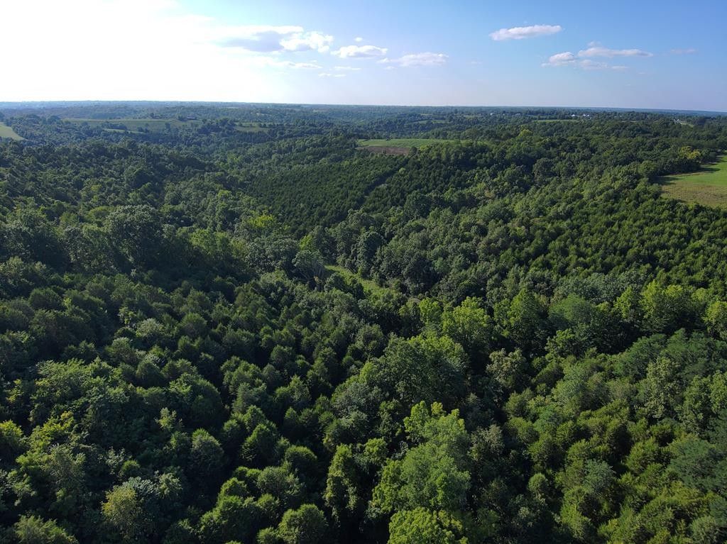 26 acres in Bracken County, Kentucky