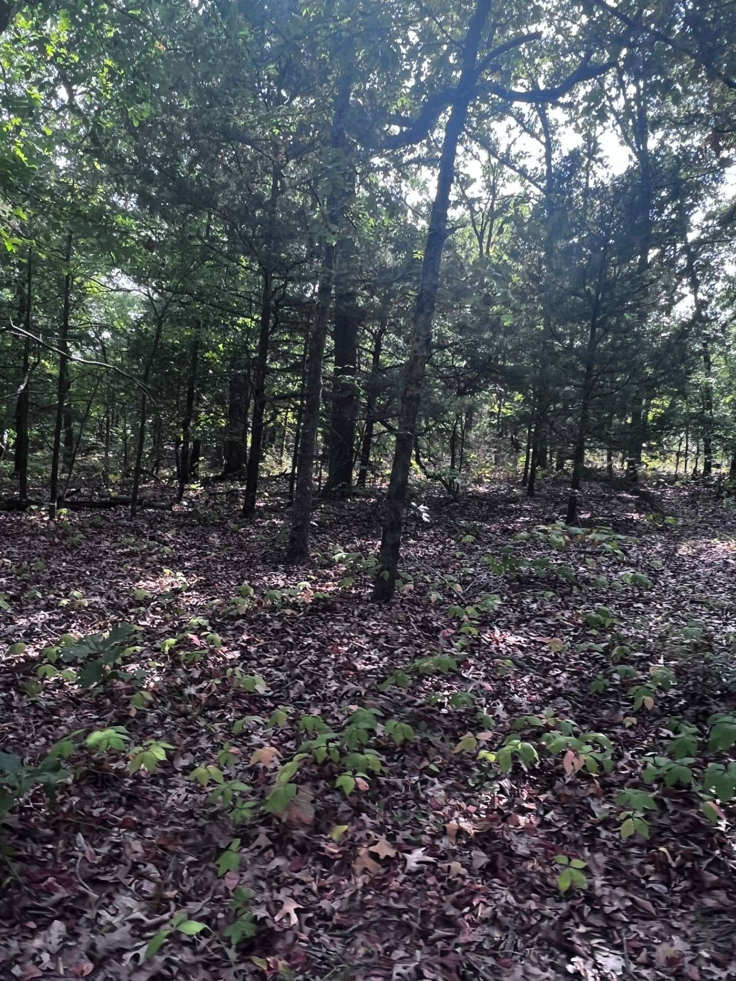 7.1 acres in Johnston County, Oklahoma