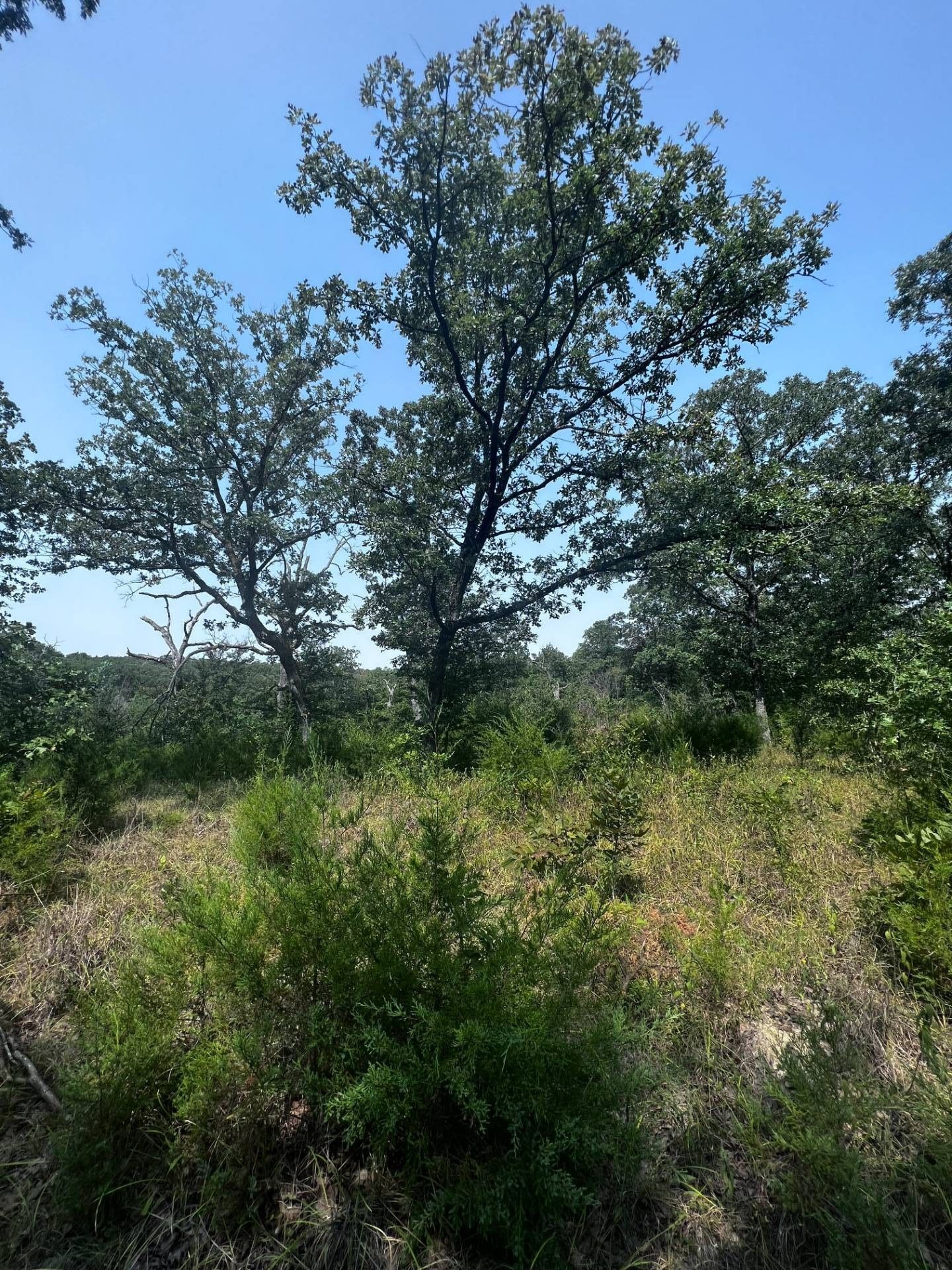 4.3 acres in Johnston County, Oklahoma