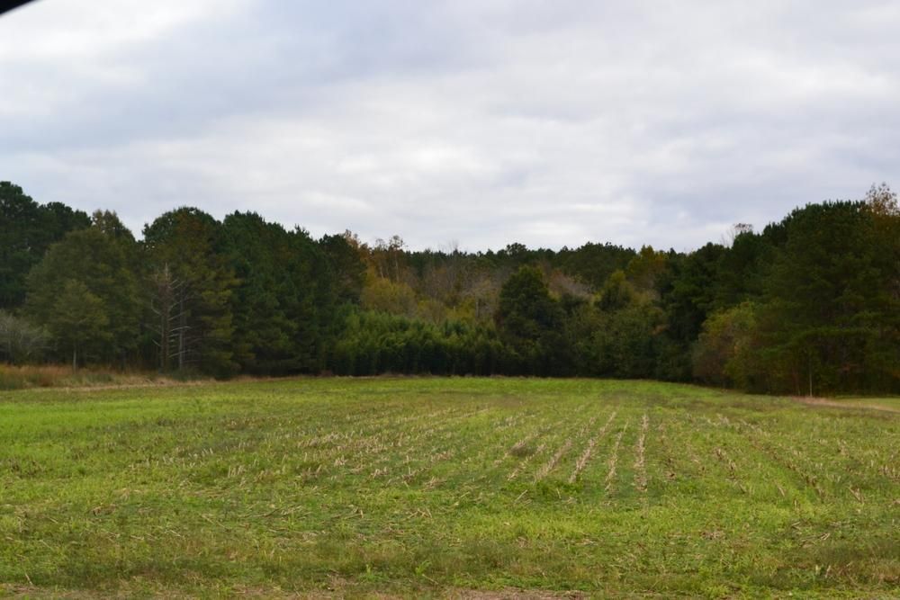 8 acres in Cherokee County, Alabama