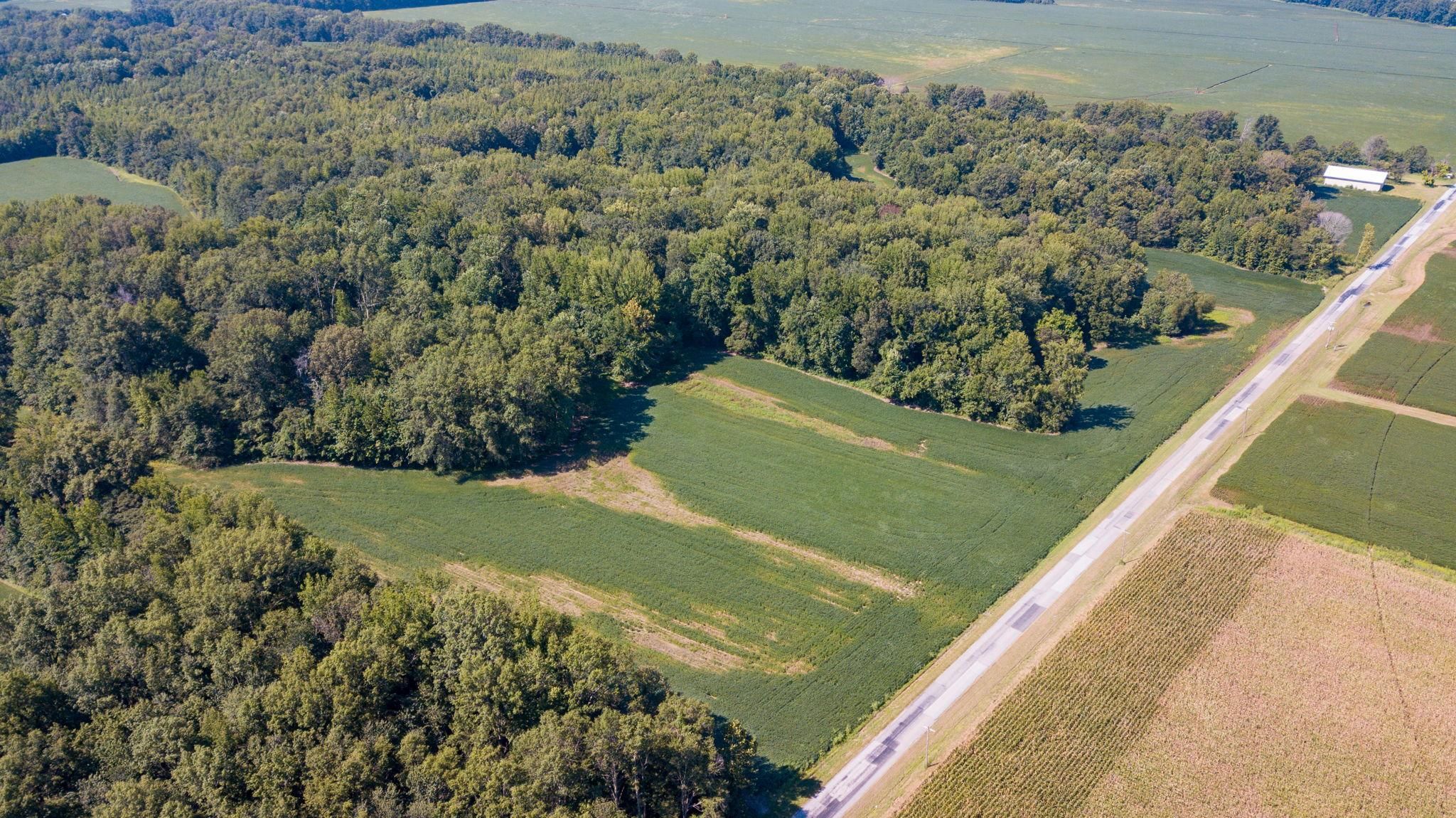 51 acres in Alexander County, Illinois