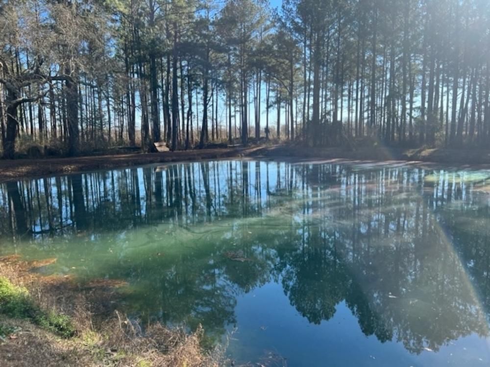 201.16 acres in Terrell County,