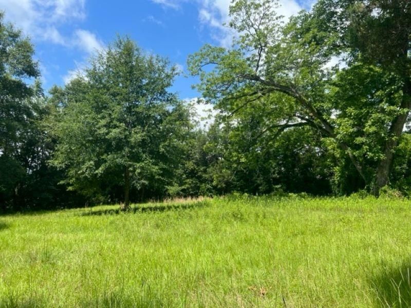 5 acres in Dougherty County,
