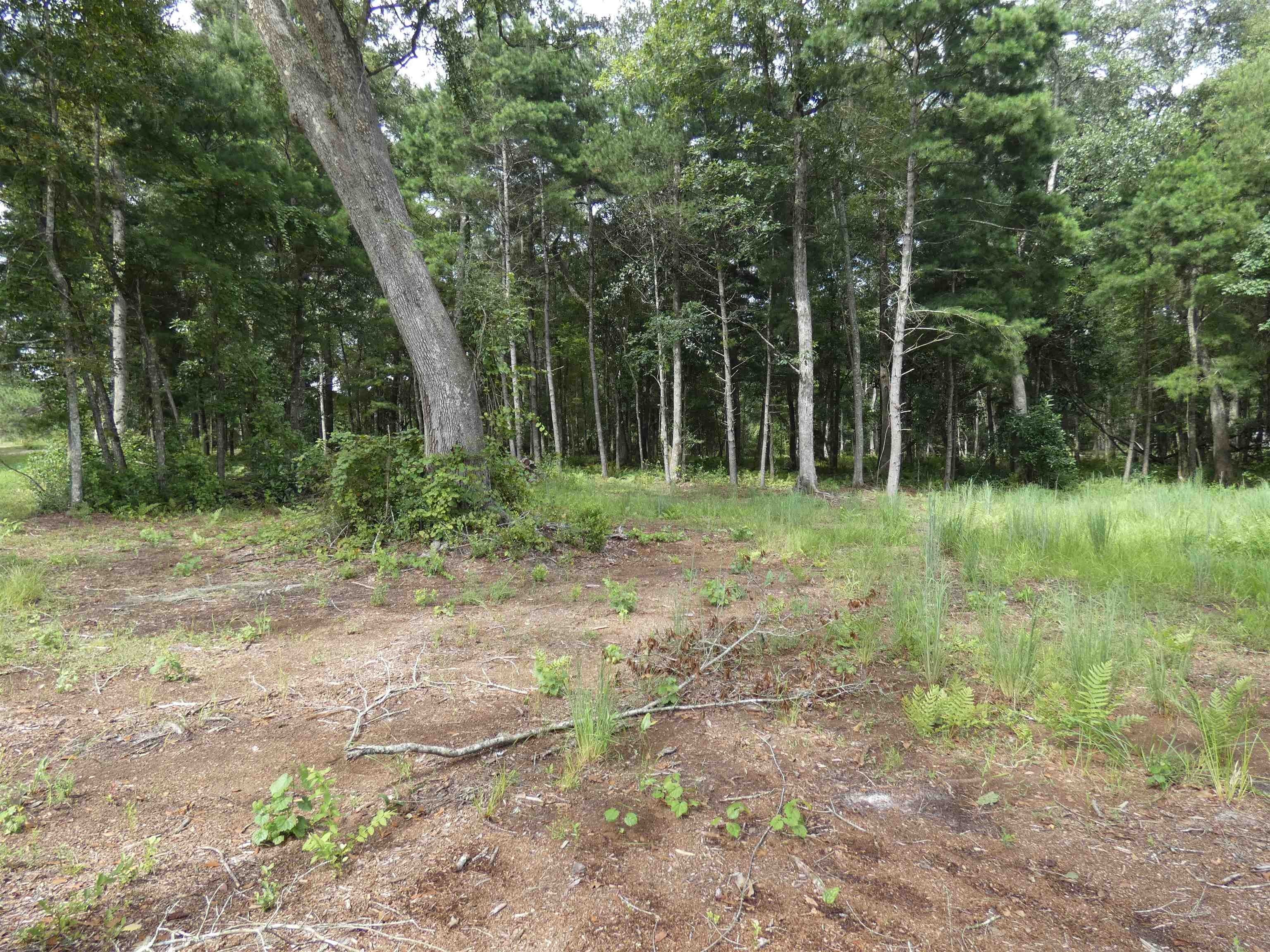 5 acres in Jefferson County, Florida