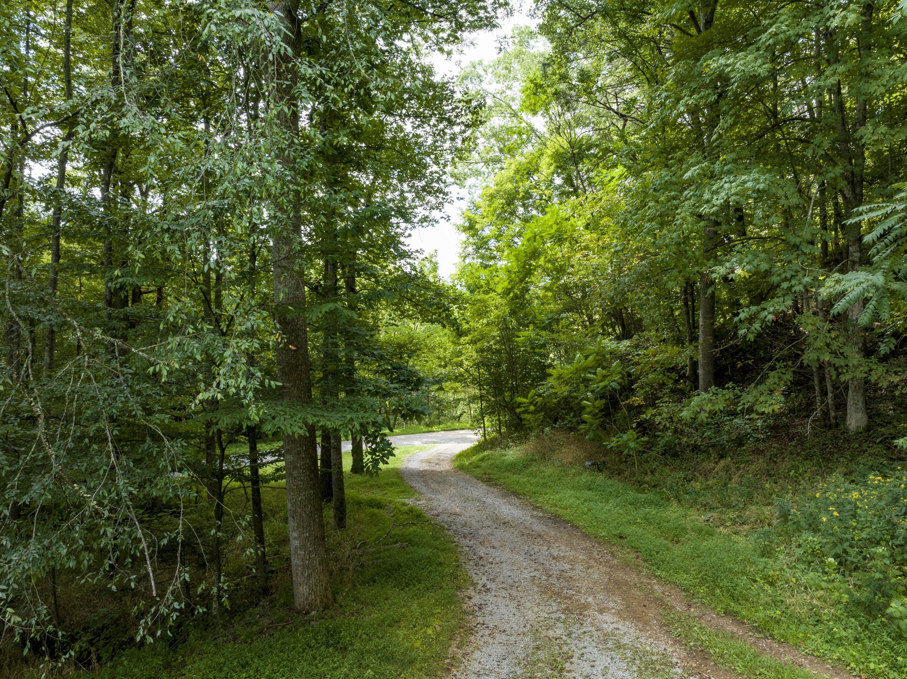 52 acres in Unicoi County, Tennessee