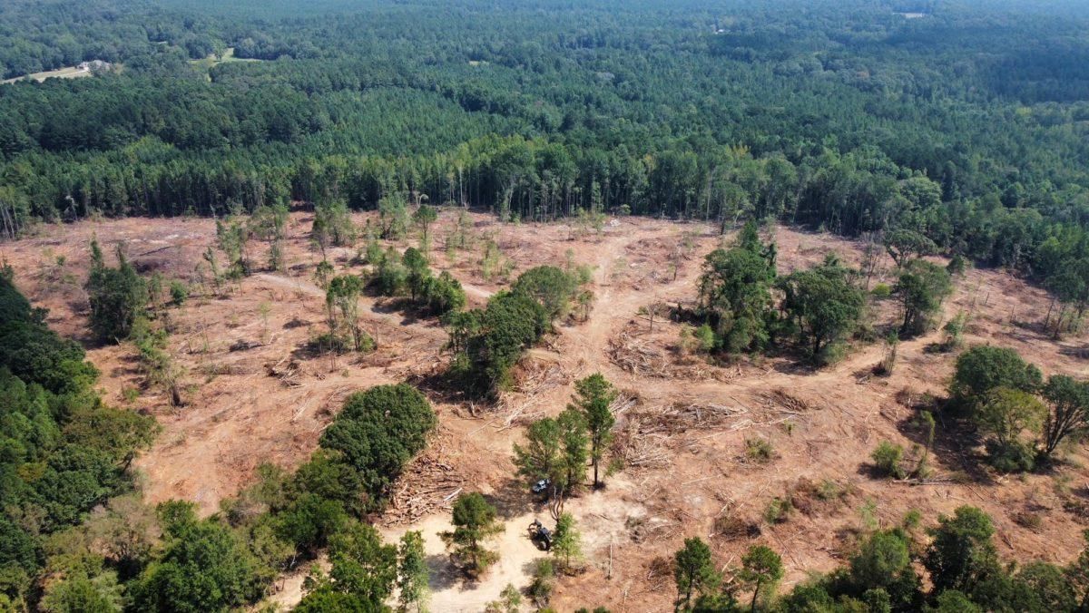 48 Acres, Leake County, MS, Carthage, MS 39051