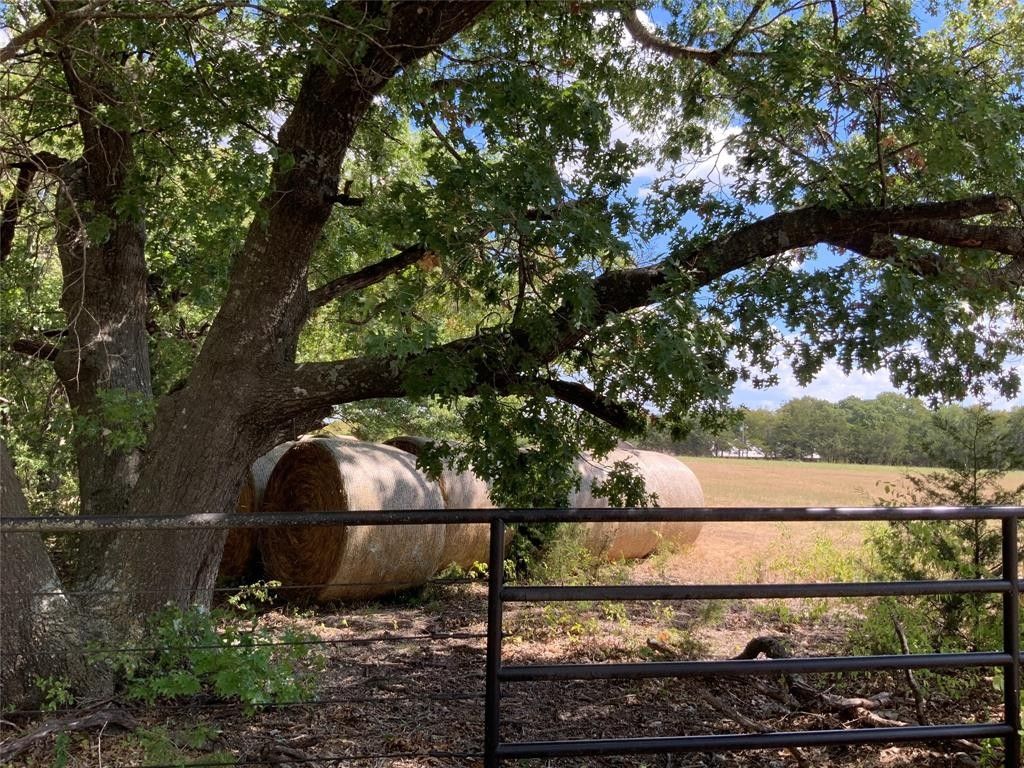 Unimproved Land Van Alstyne, TX