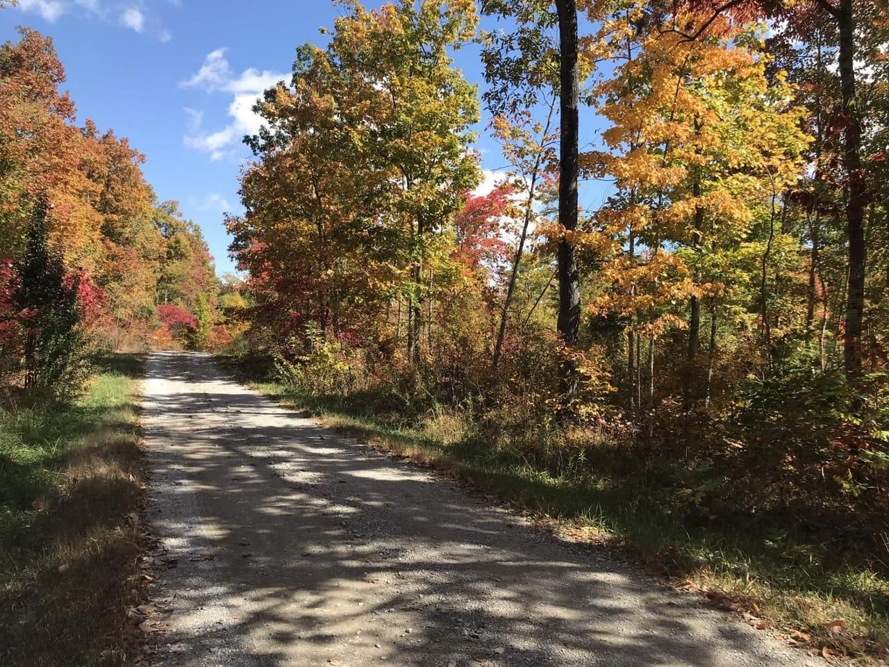 0 Wilson Ridge Rd, Wilder, TN 38589 MLS 2361829