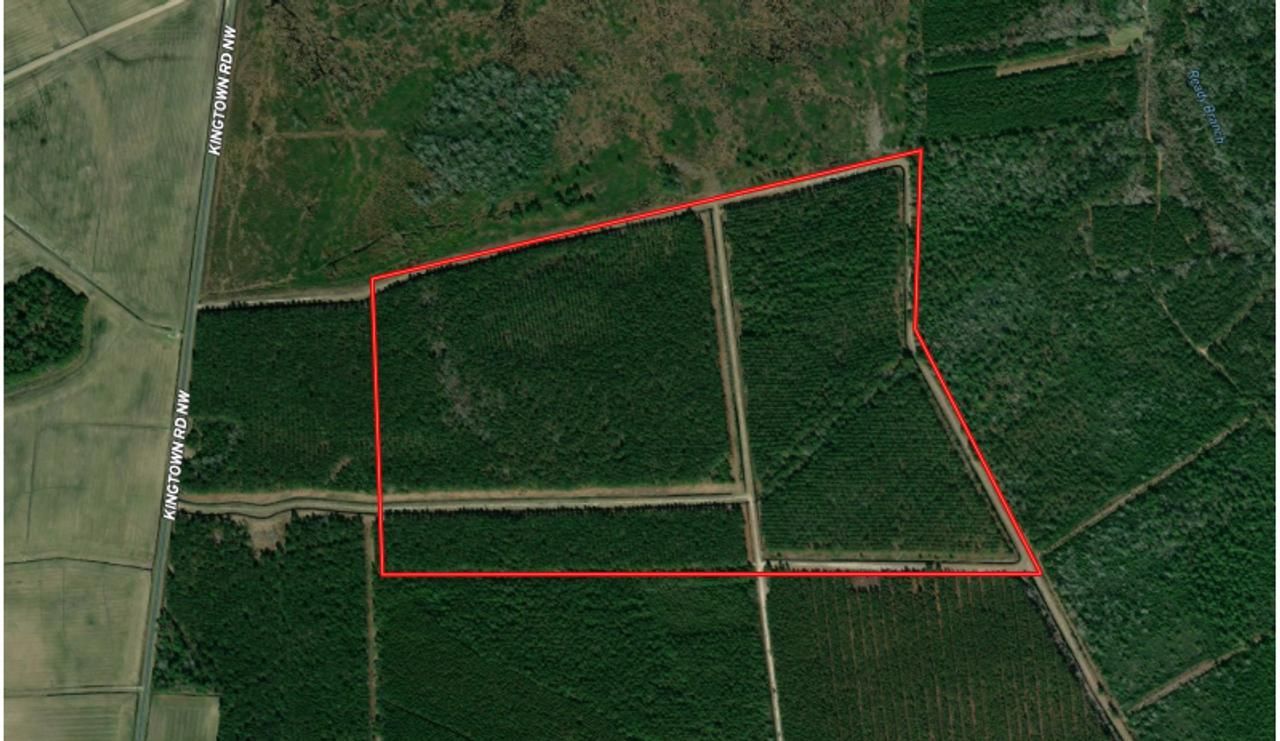 99.14 acres in Brunswick County, North Carolina