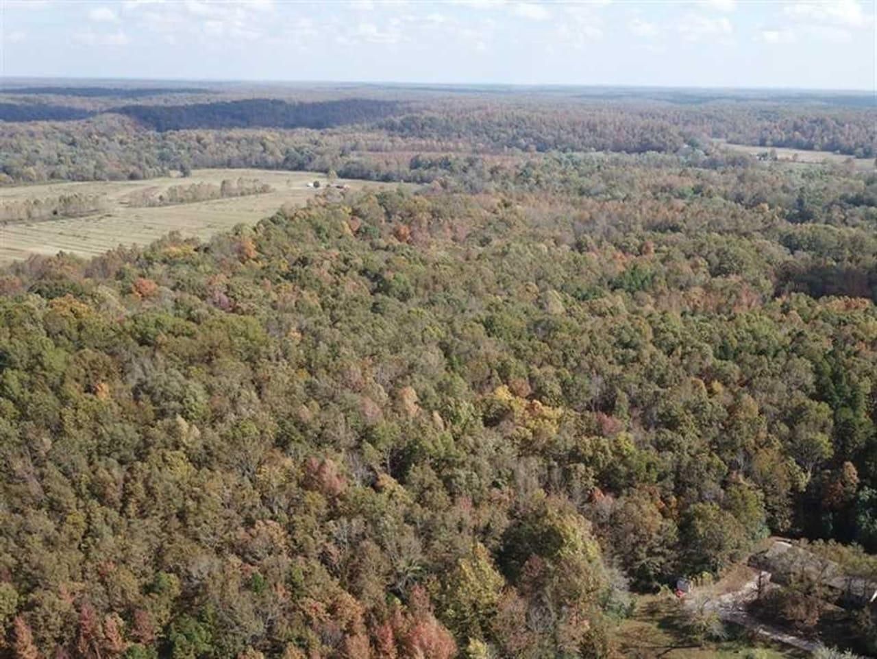 36 acres in Butler County, Missouri