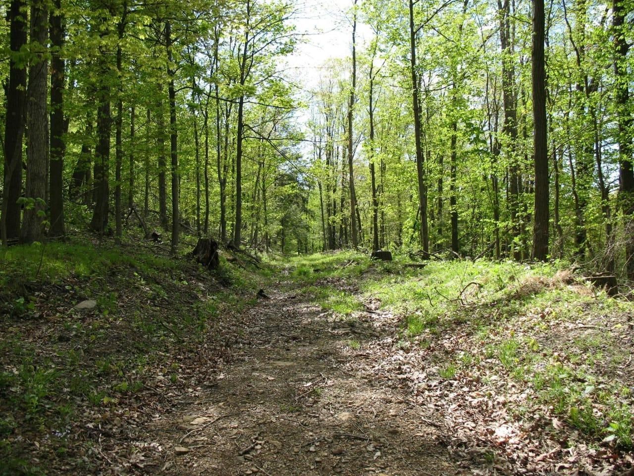 87 acres in Clearfield County, Pennsylvania