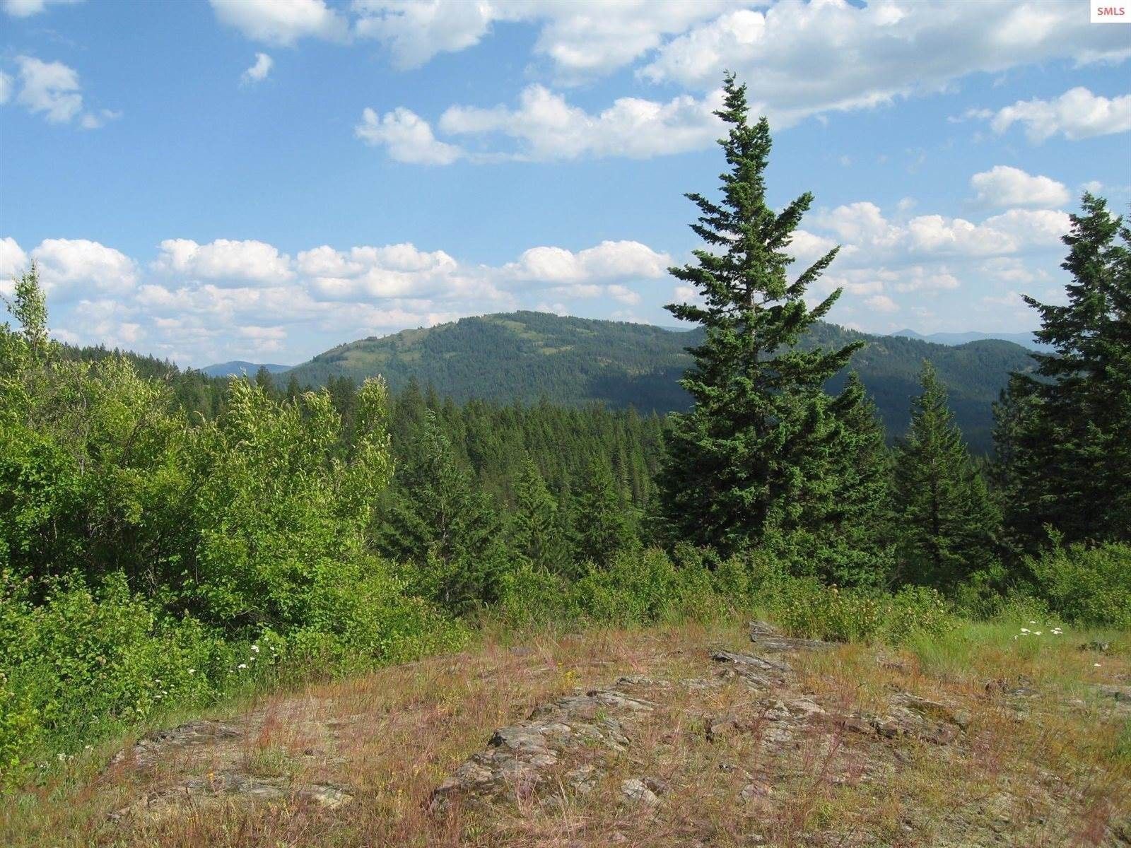 5 acres in Bonner County, Idaho