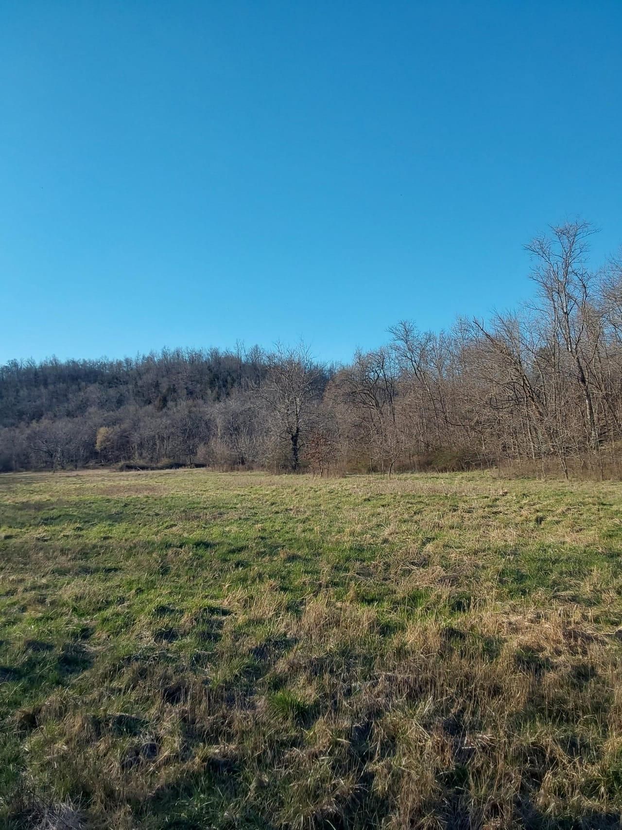 859 acres in Dent County, Missouri