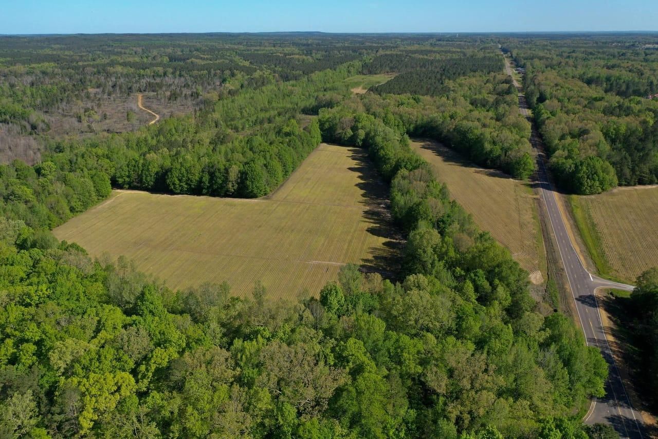 73 acres in ster County, Mississippi