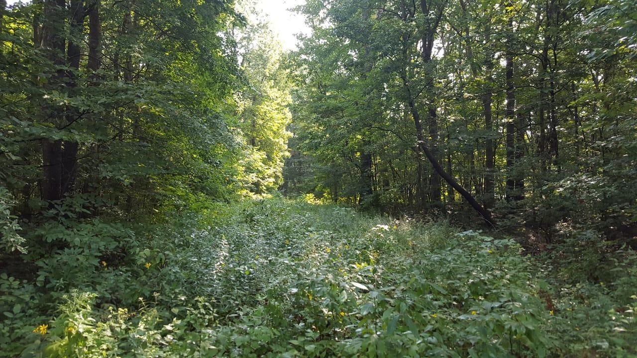 1.52 acres in Vigo County, Indiana