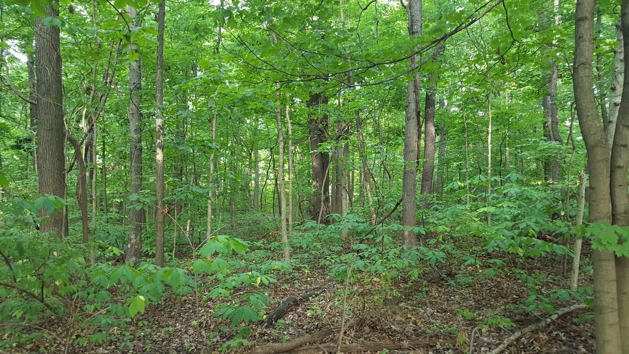 1.7 acres in Vigo County, Indiana