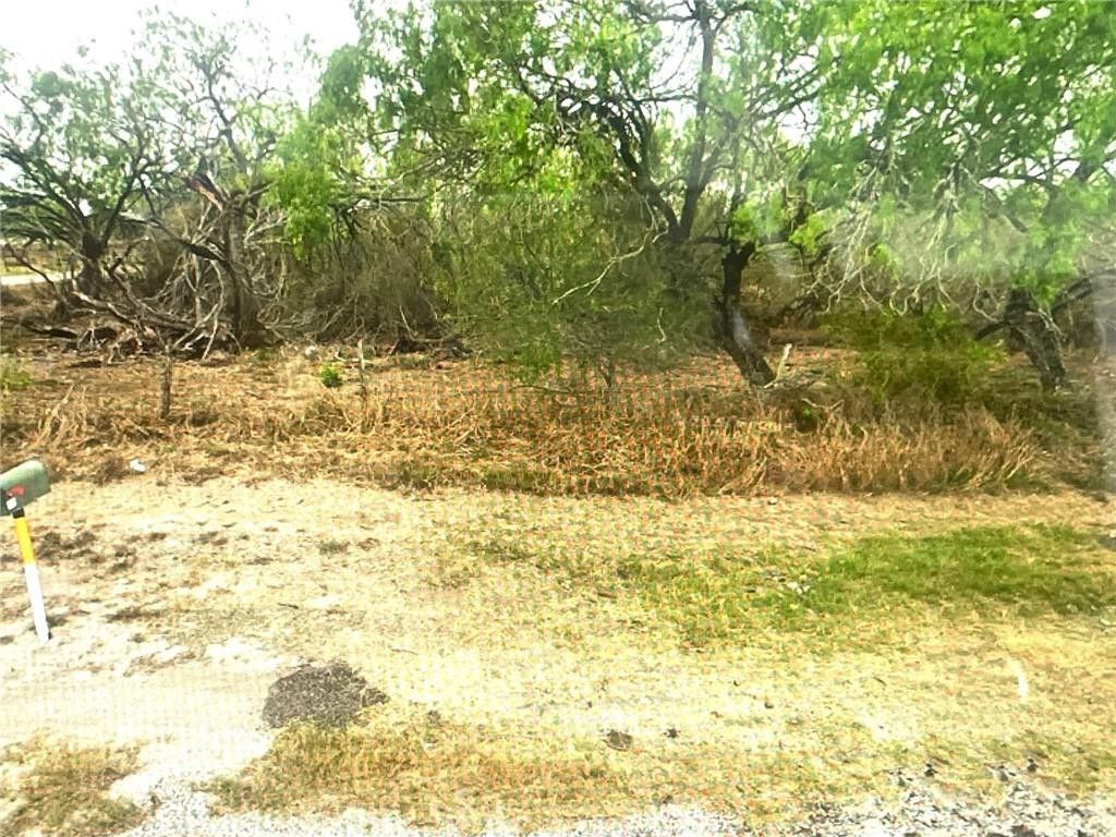 10 acres in Brooks County, Texas