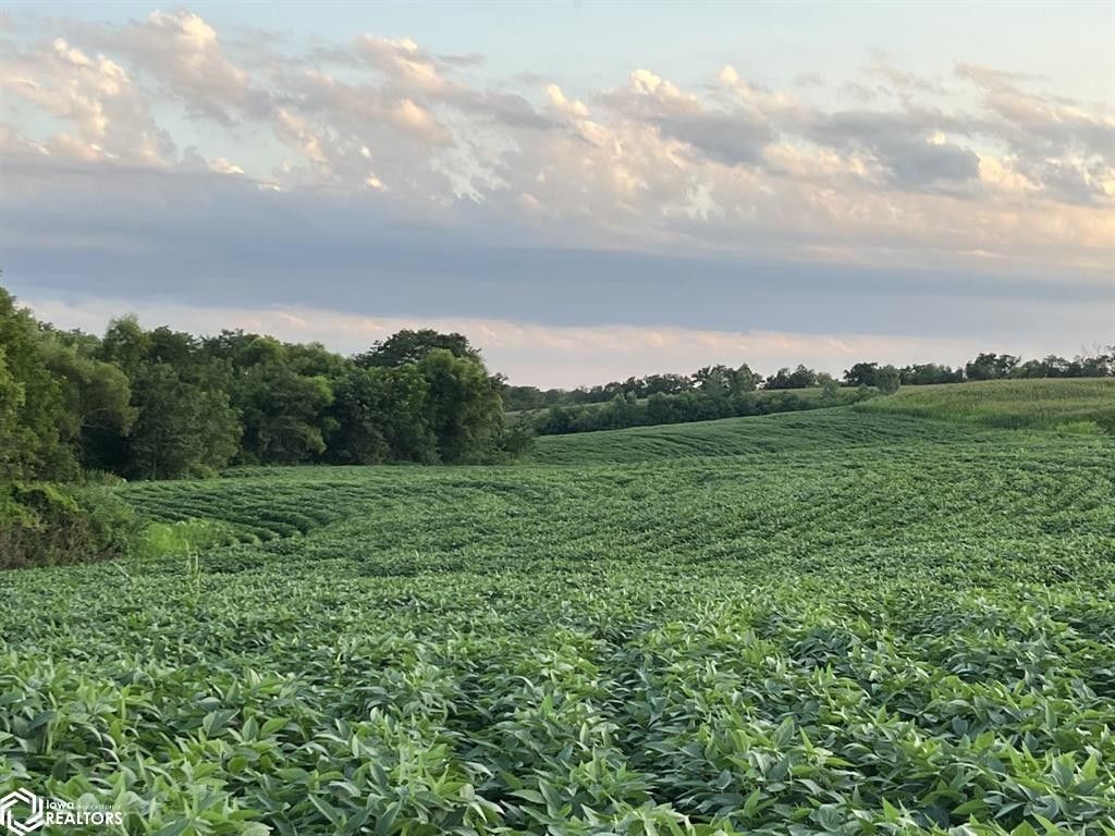 334 acres in Taylor County, Iowa