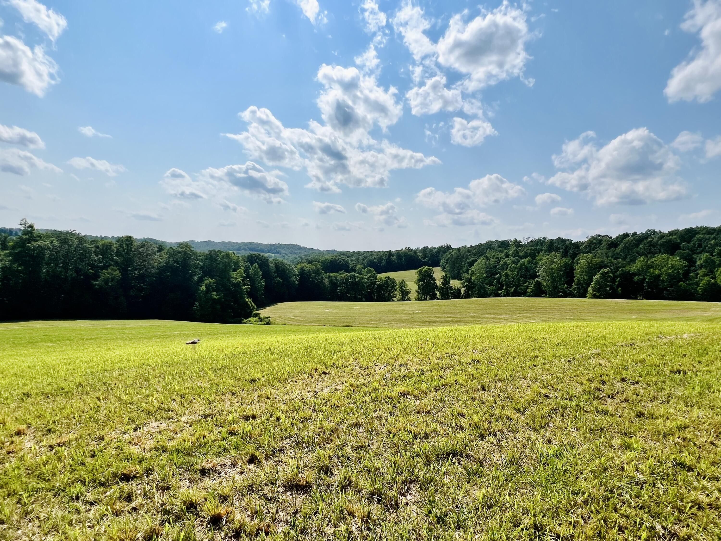 80 acres in Elliott County, Kentucky