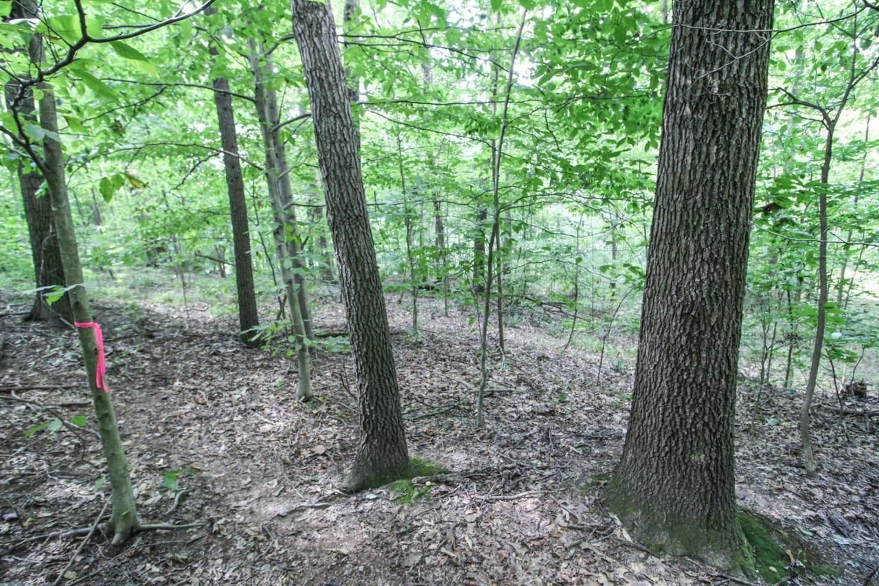 1 acres in Coshocton County, Ohio
