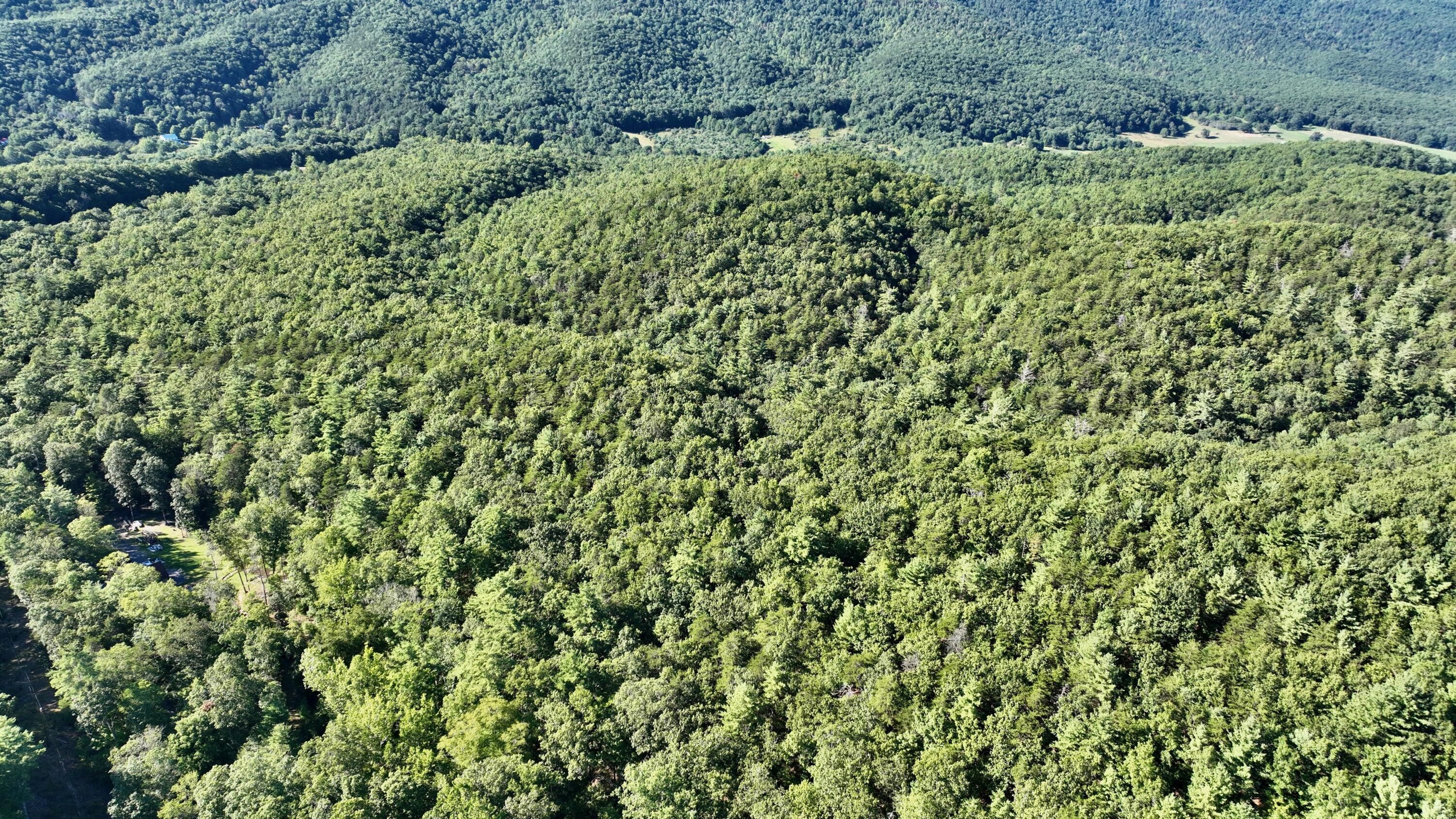 165 acres in Monroe County, West Virginia