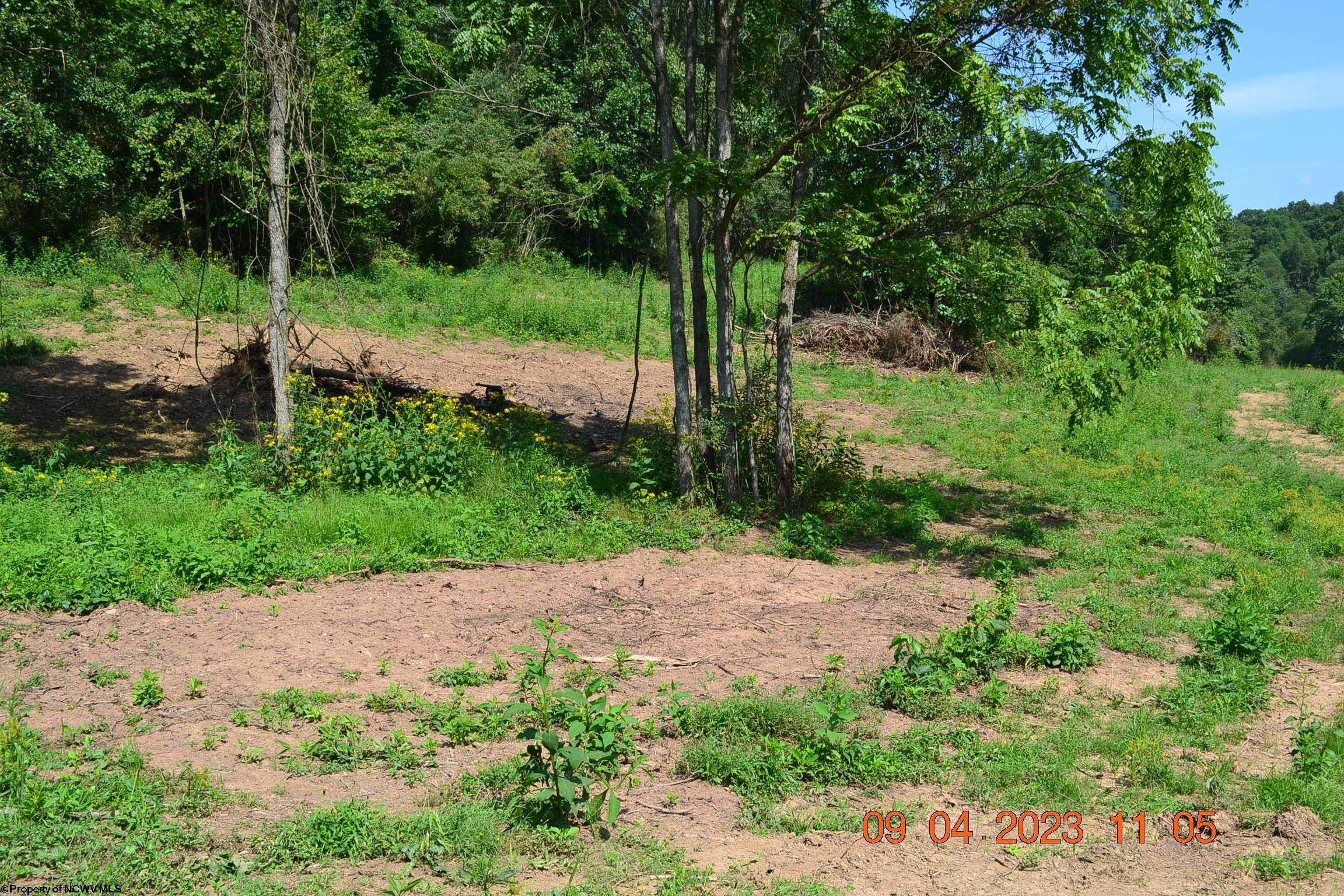 5.54 acres in Braxton County, West Virginia