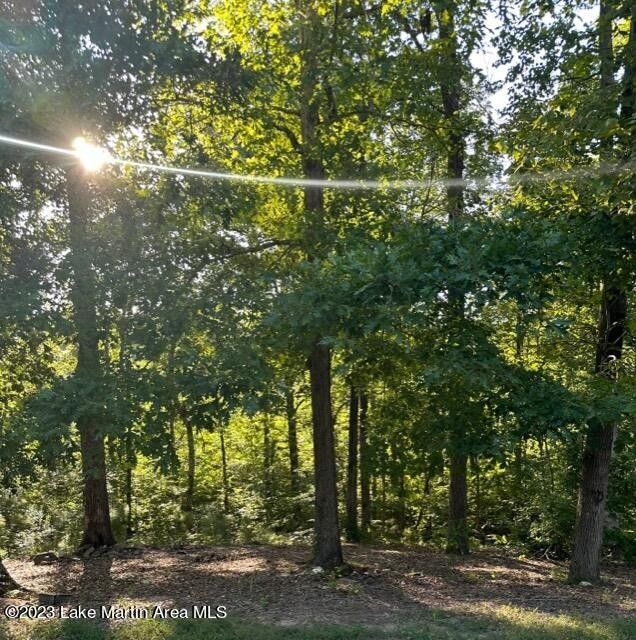 40 acres in Coosa County, Alabama