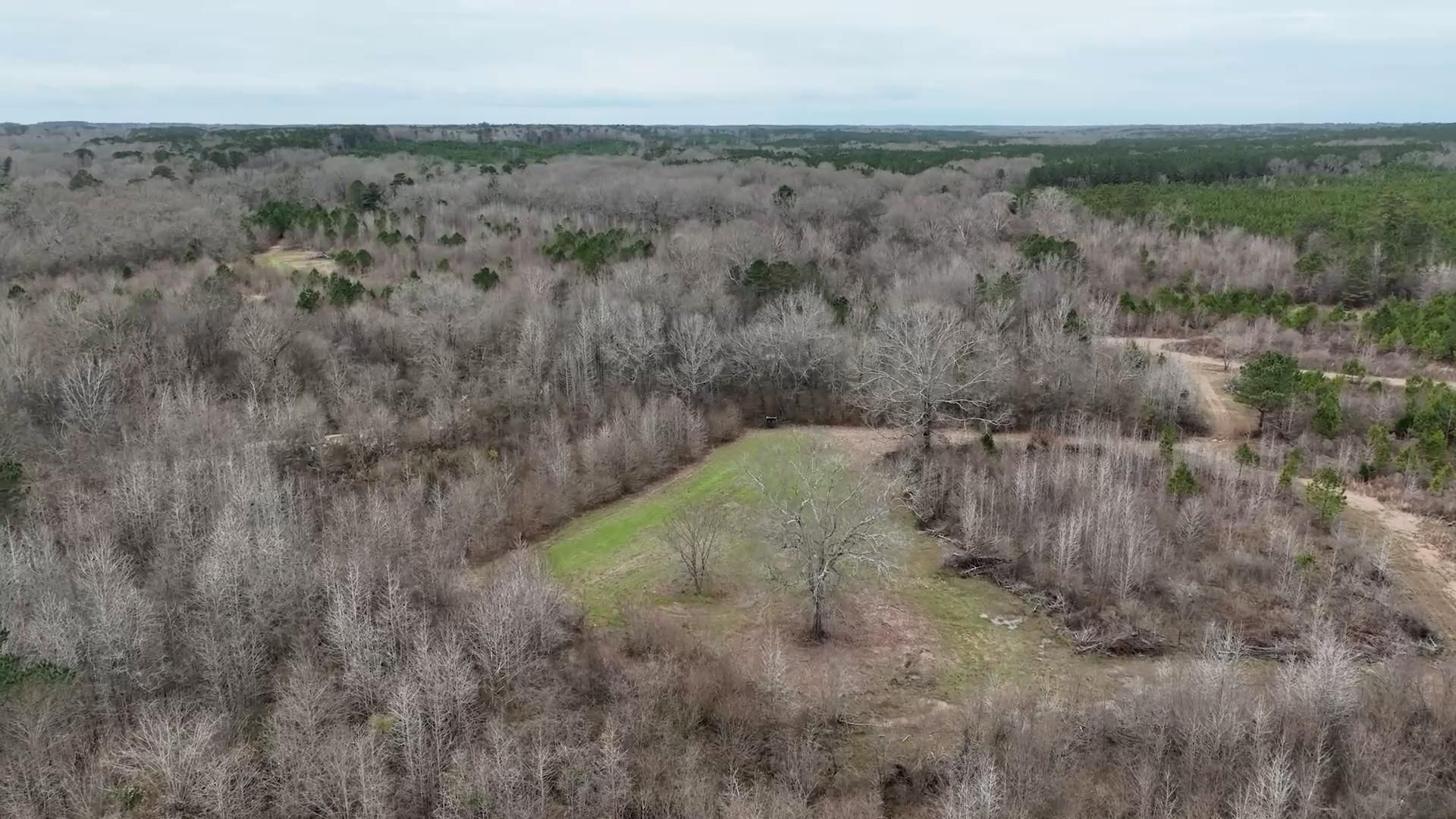 293 acres in Copiah County, Mississippi