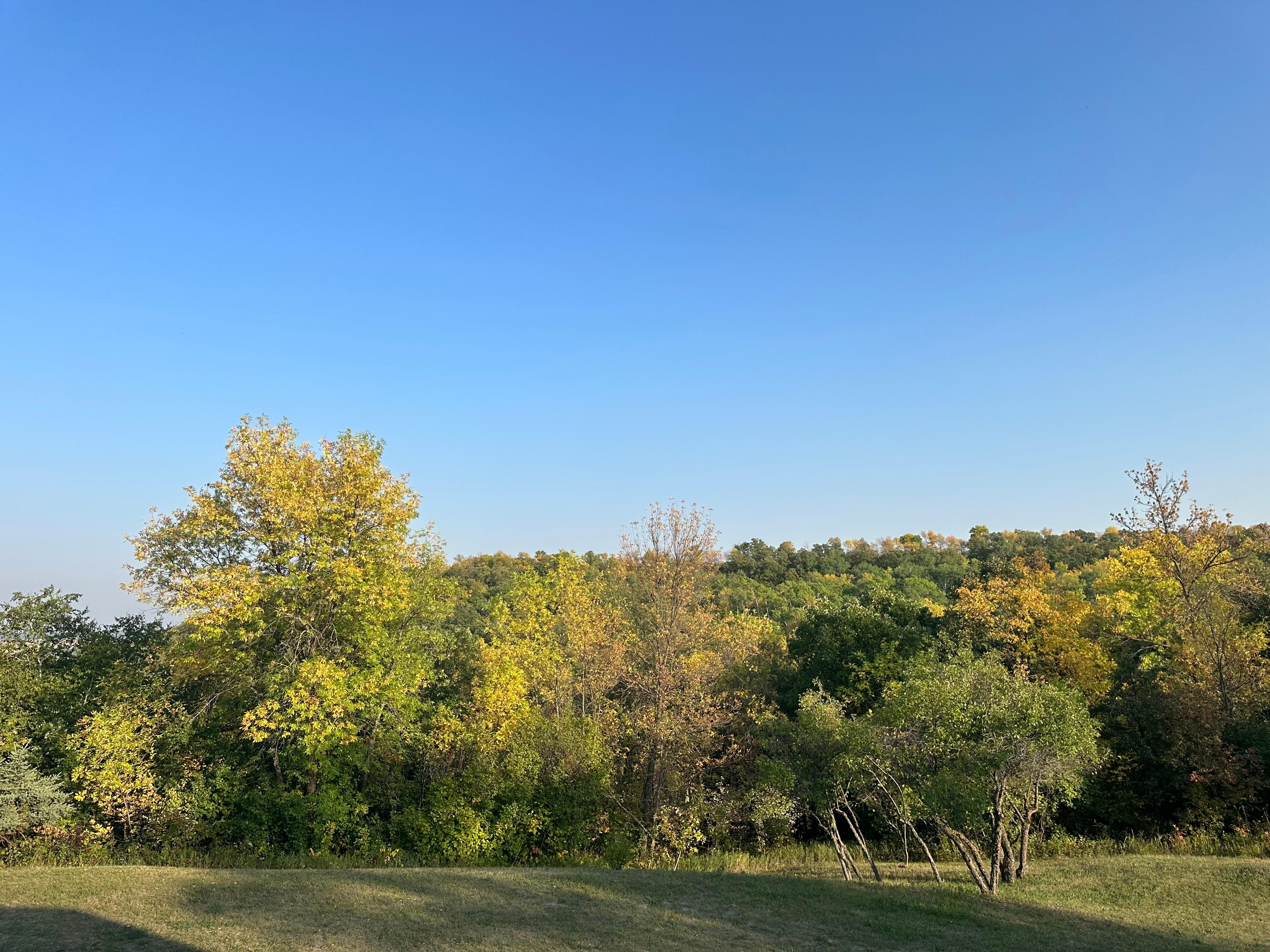 36.54 acres in Walhalla, ND, 58282