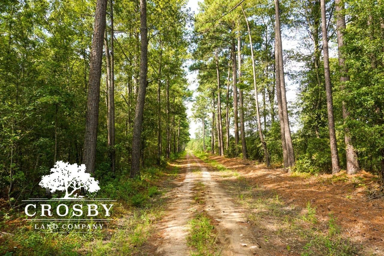 92 acres in Colleton County, South Carolina