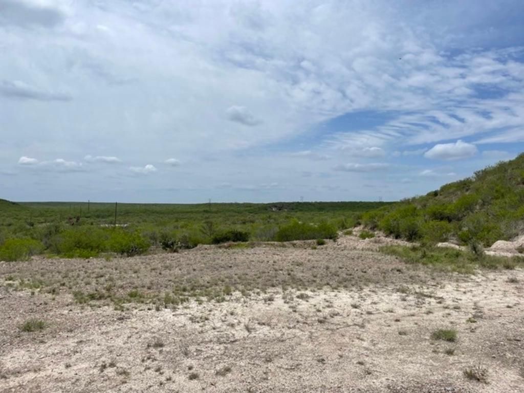 13.76 acres in Freer, TX, 78341