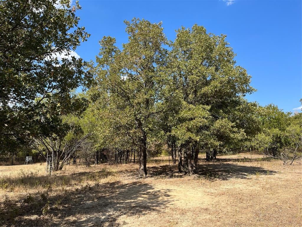 10.62 acres in Wise County, Texas