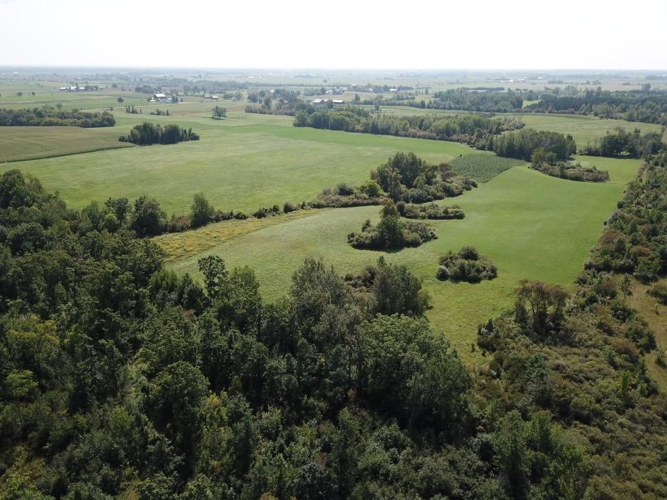 175 acres in Gladwin County, Michigan