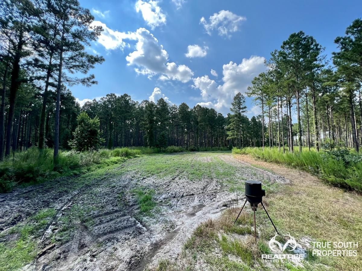 371 Causey Road, Furman, SC 29922