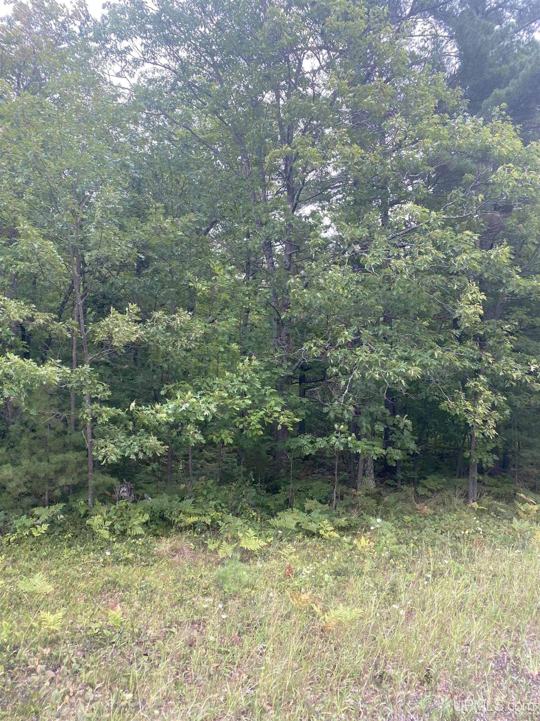 10.61 acres in Houghton County, Michigan