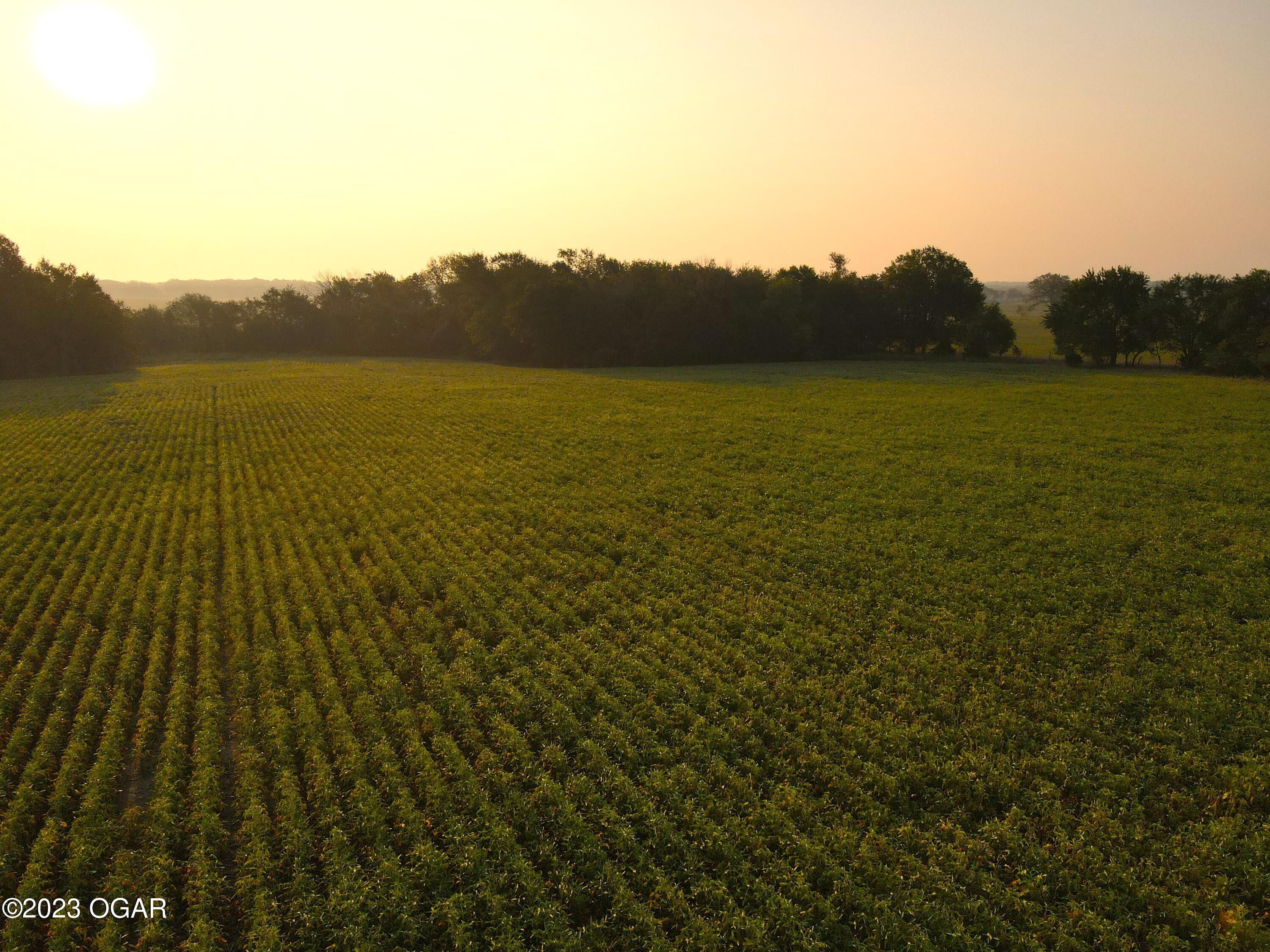 100 acres in Barton County, Missouri