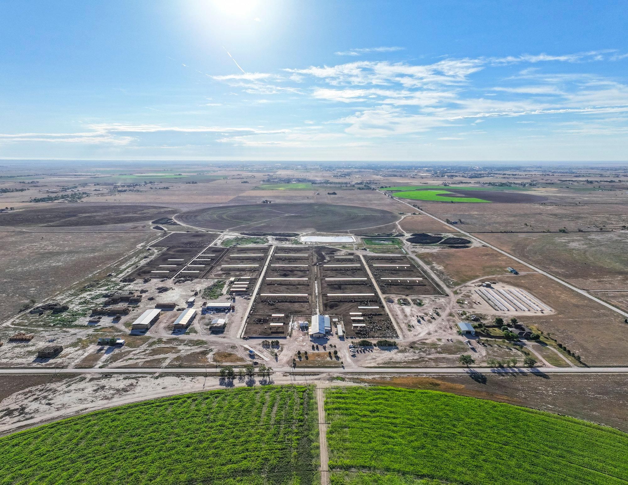 788 acres in Roosevelt County, New Mexico