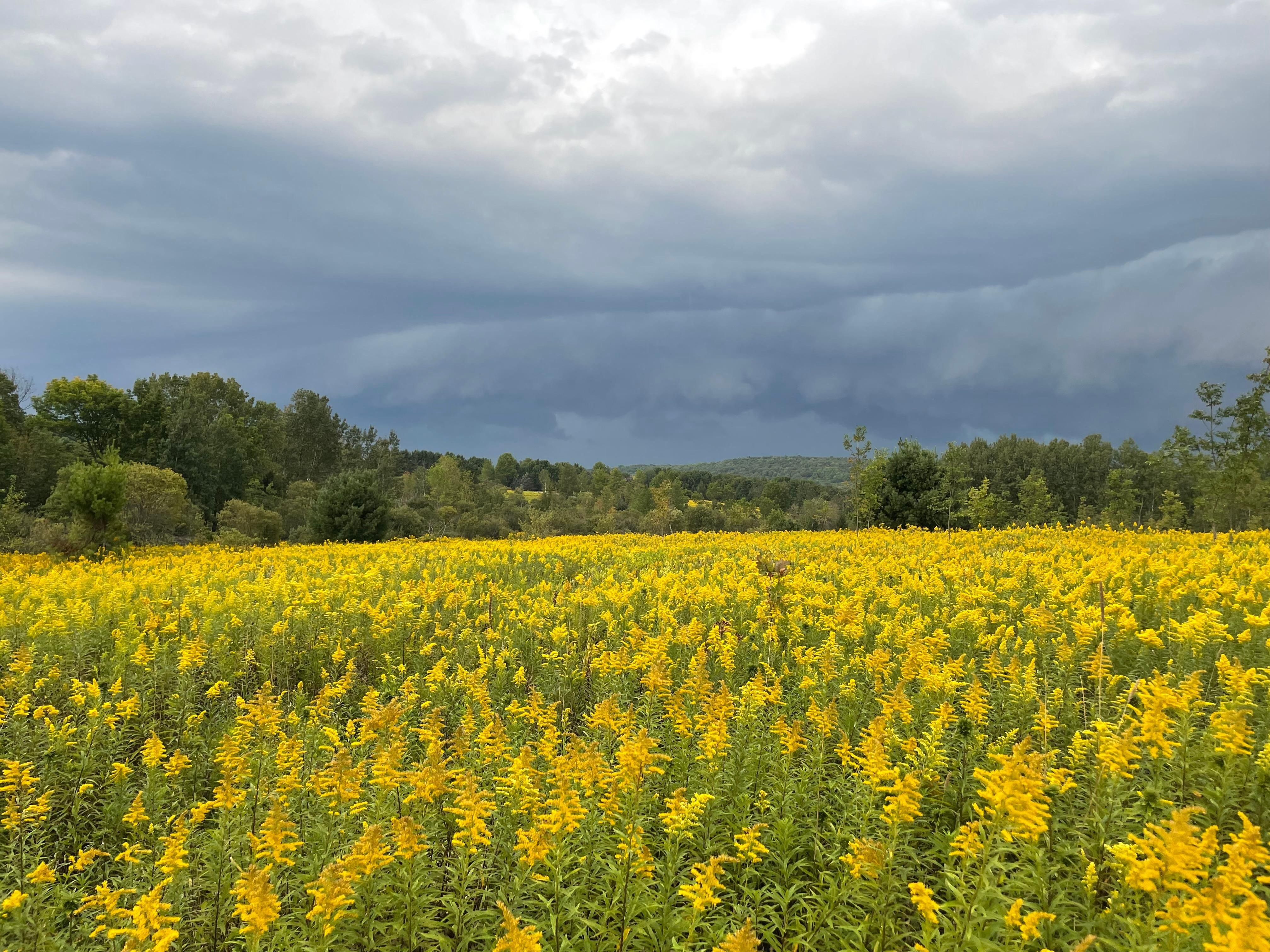 3546 County Road 4, South New Berlin, NY 13843