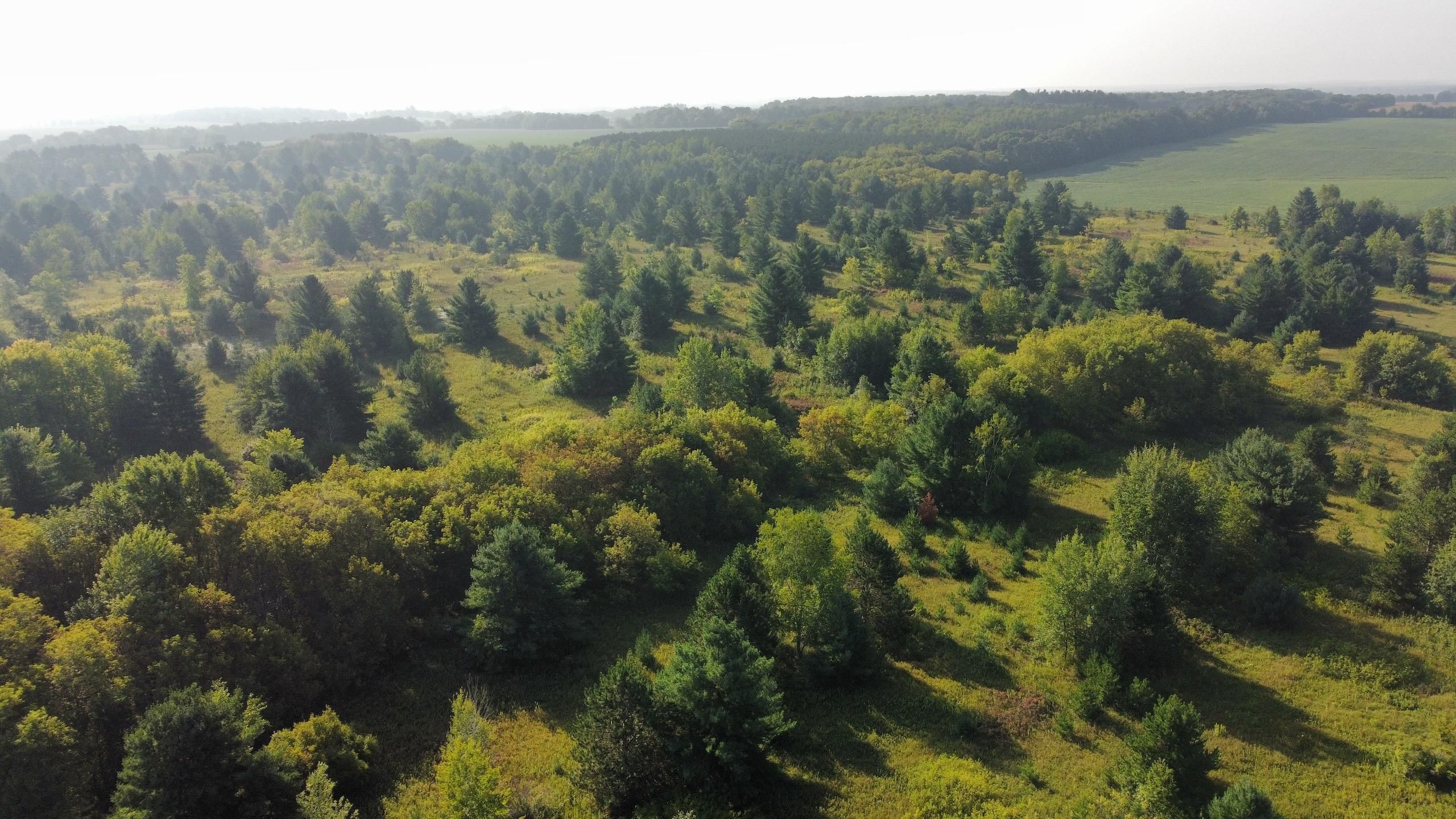 40 acres in Saint Croix County, Wisconsin