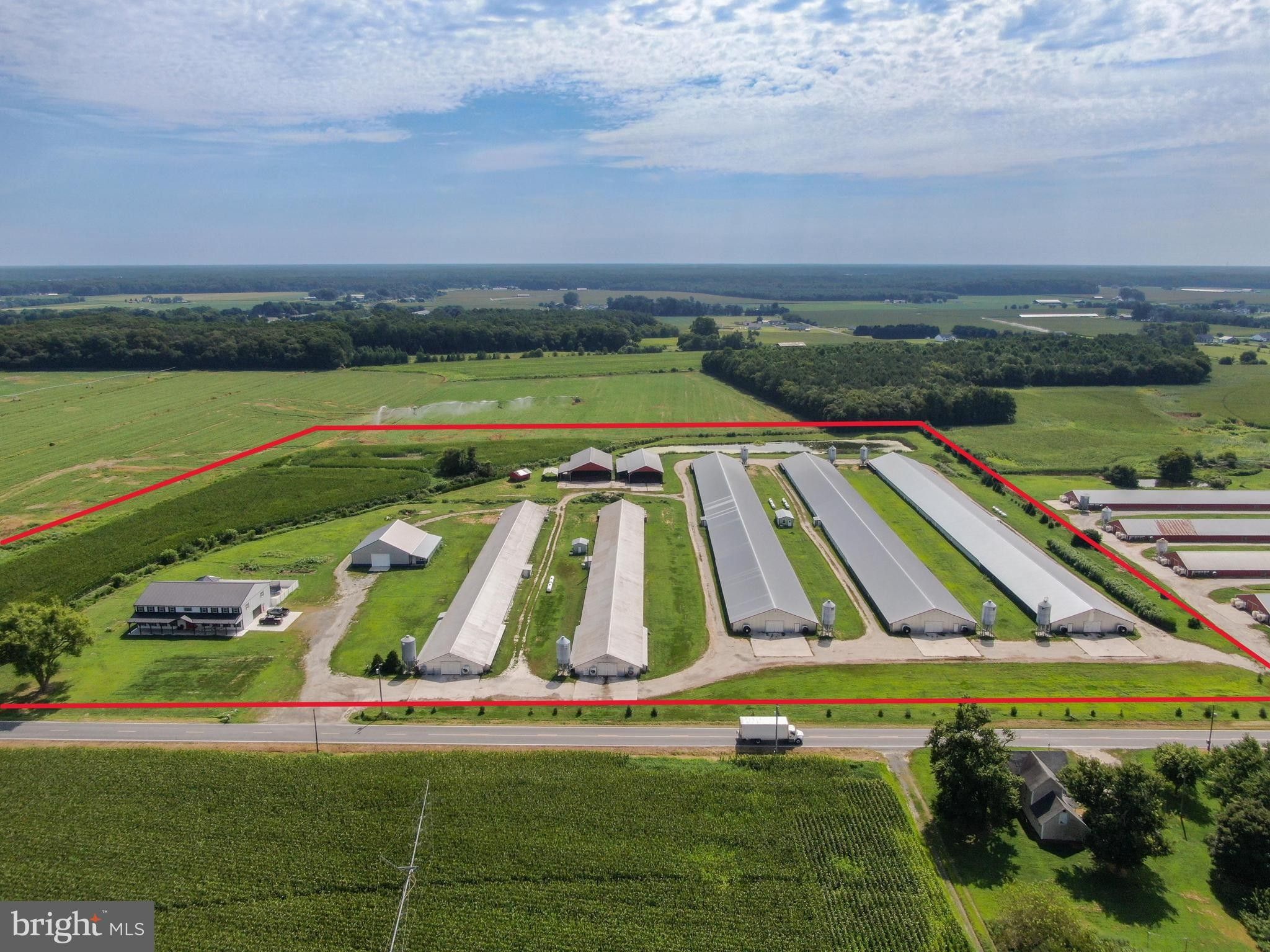 19-64-acres-in-sussex-county-delaware