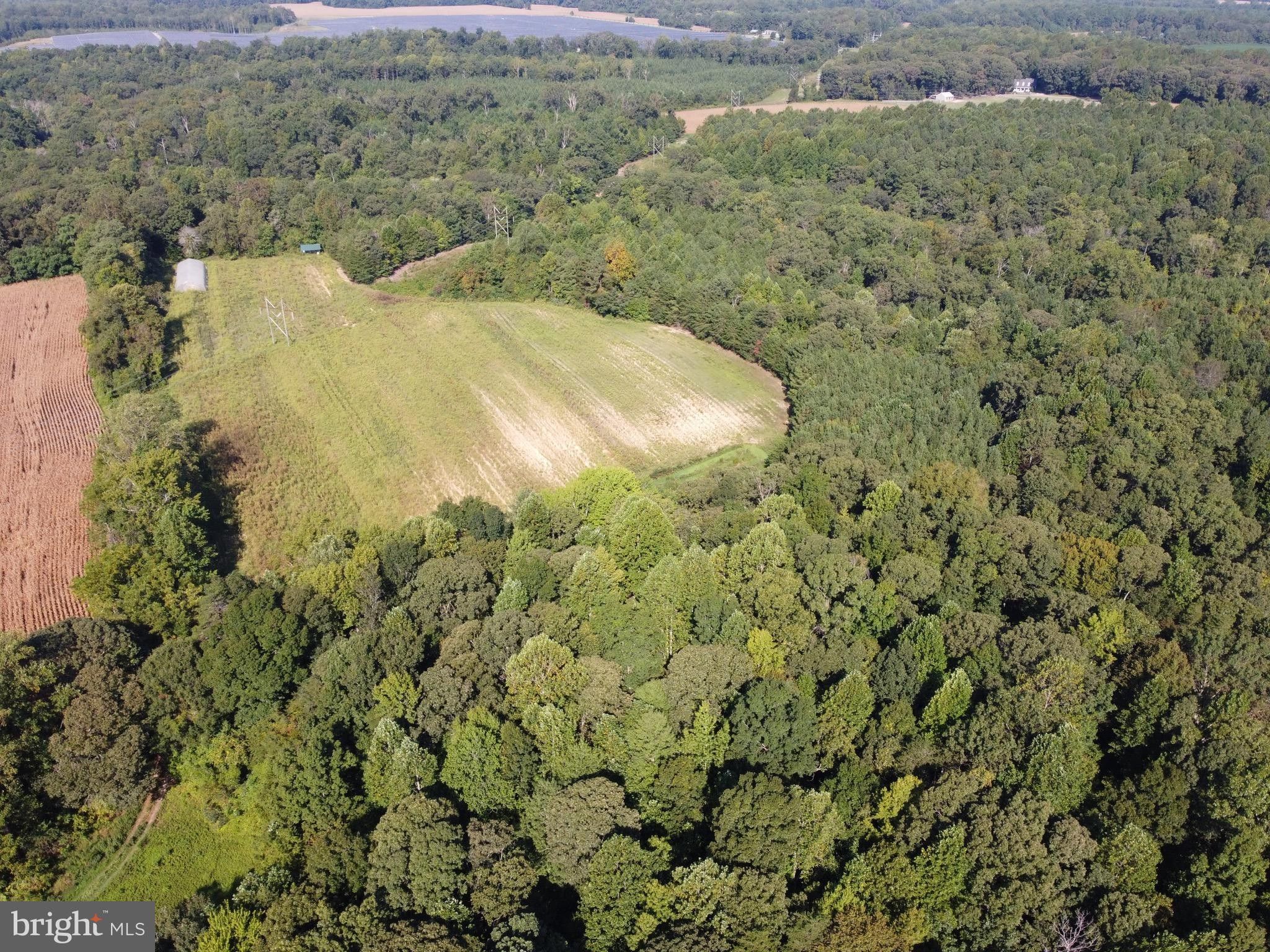 38 acres in Westmoreland County, Virginia
