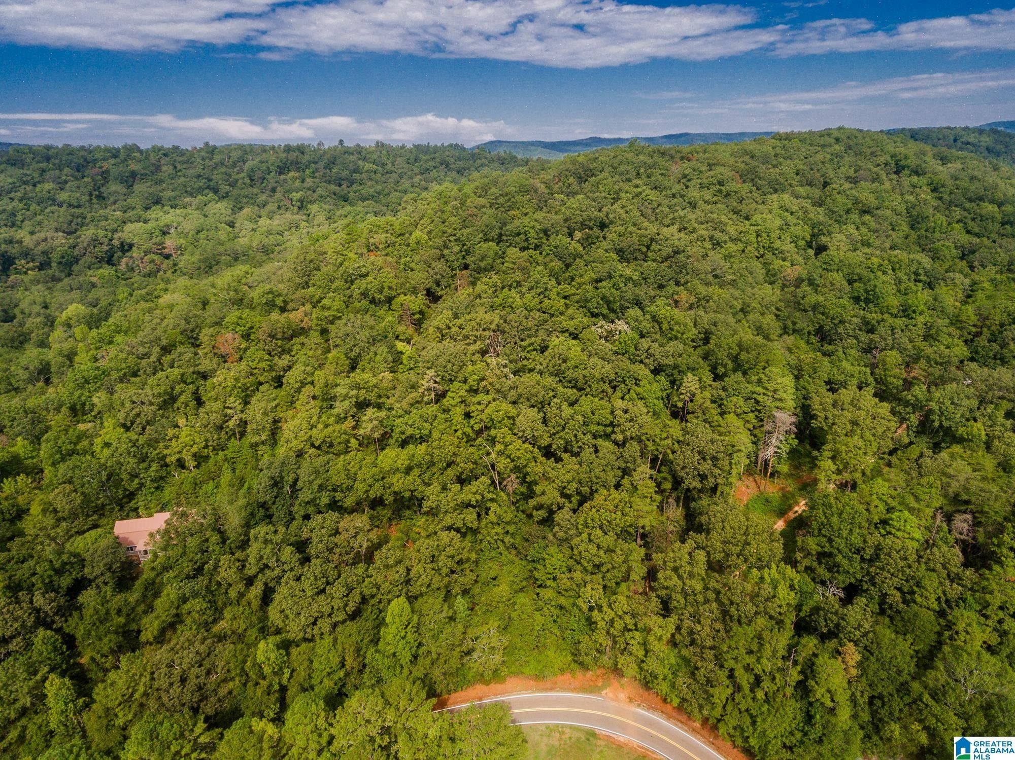 16.57 acres in Calhoun County, Alabama