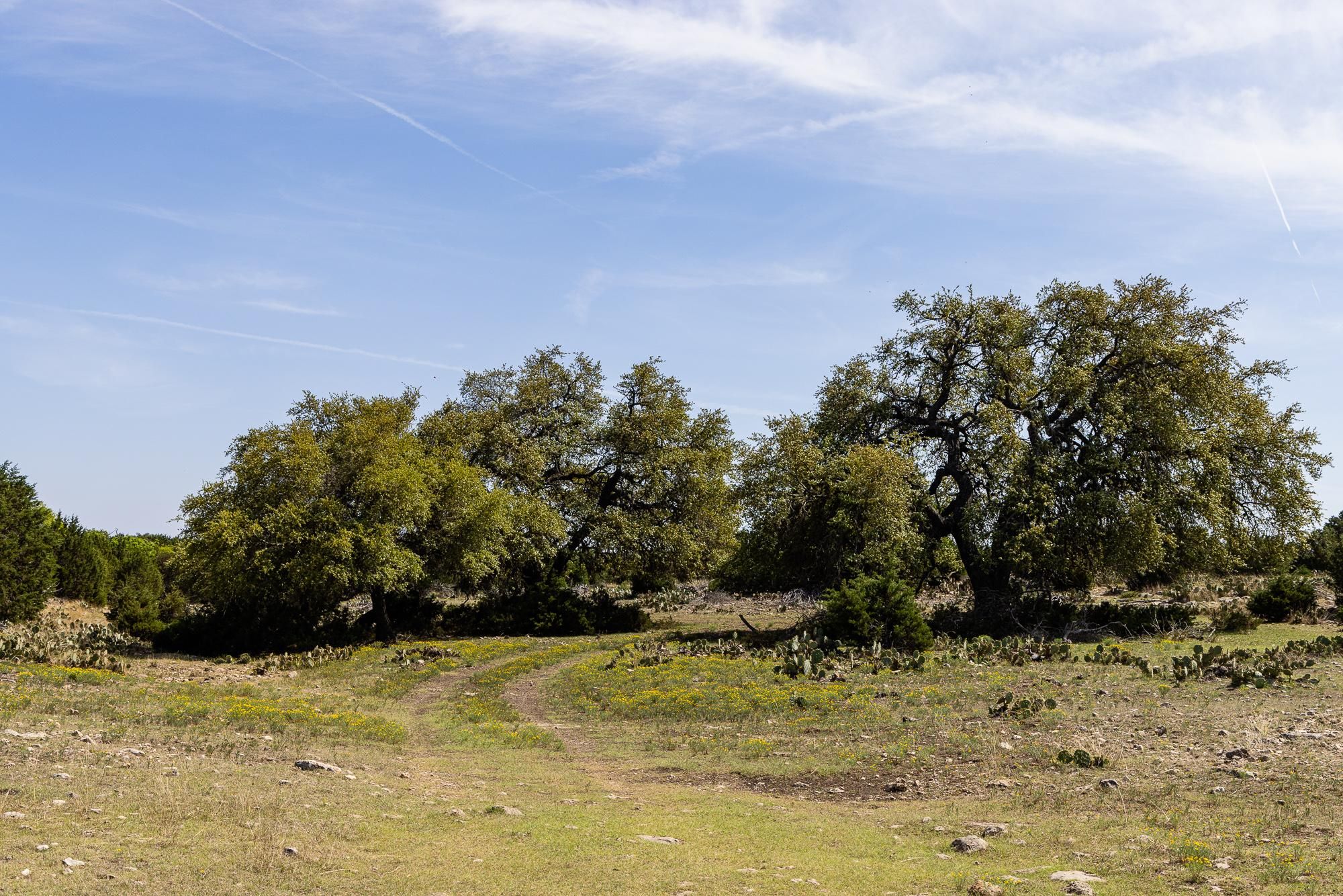 Highway 377 N, Rocksprings, TX 78880