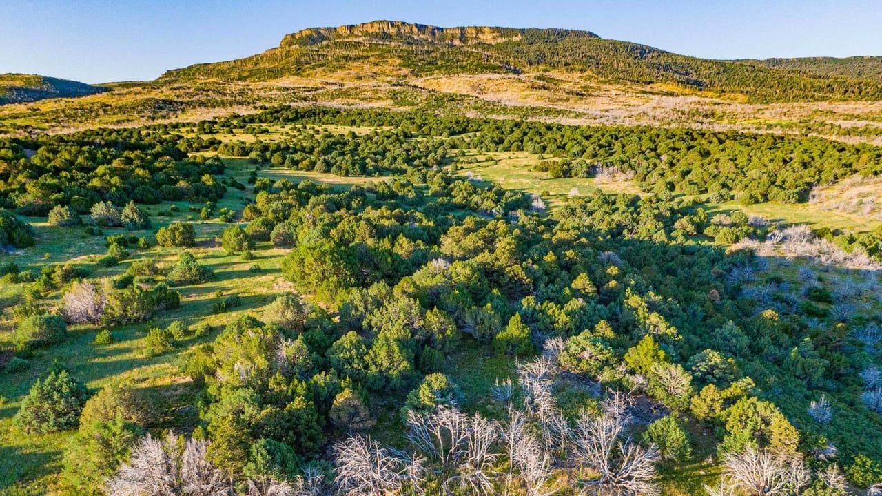 7,697 acres in Las Animas County, Colorado