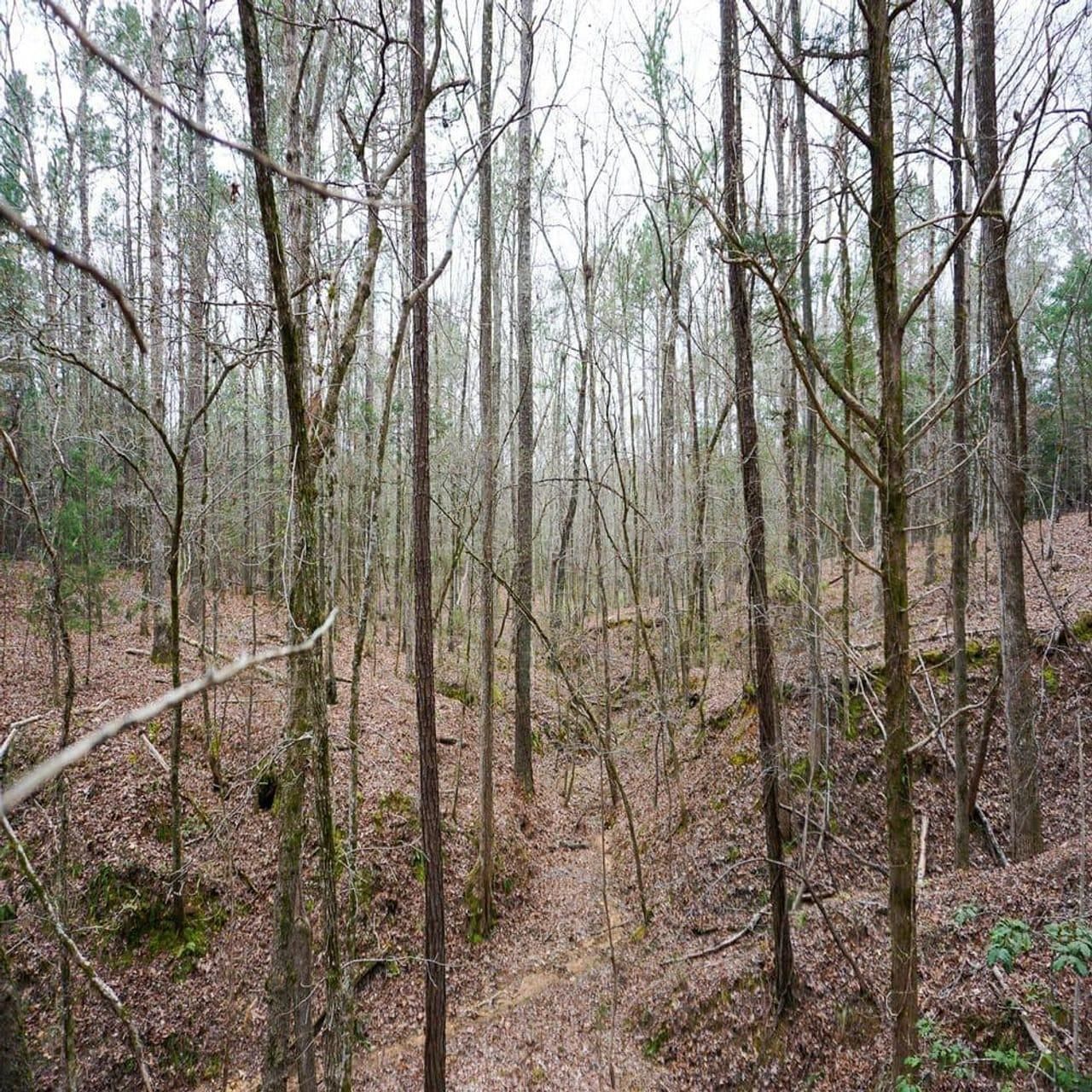 67 acres in McCormick, SC, 29835